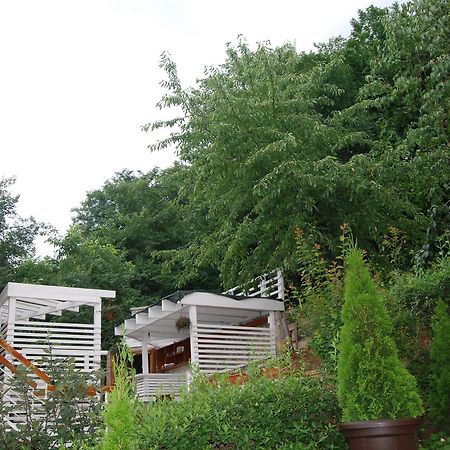 Studio Apartmani Pergolo Centar Sokobanja Buitenkant foto