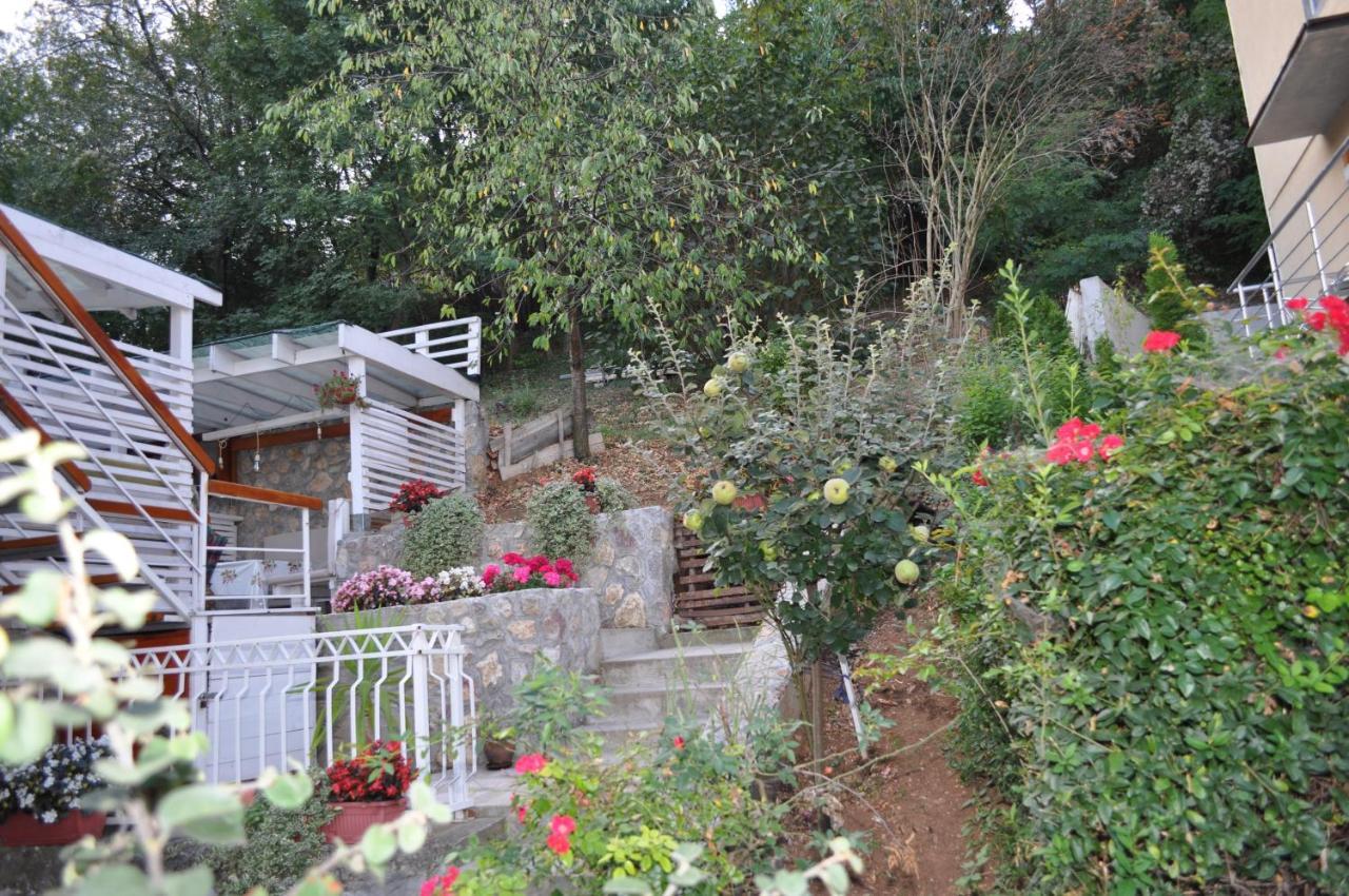 Studio Apartmani Pergolo Centar Sokobanja Buitenkant foto
